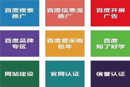 百度竞价广告投放成功案例解析